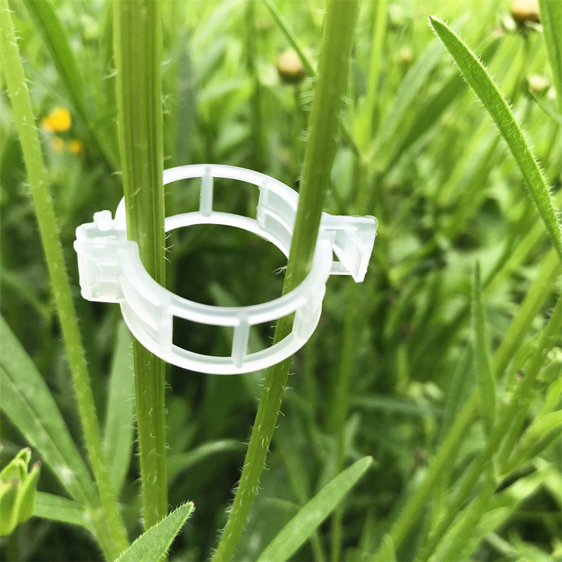 Vine Climbing Plastic - 100pcs Clear Plastic Plant Clips Climbing