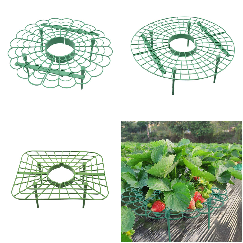 Strawberry Stand Frame Holder  – обзор и цена Vine Climbing Plastic