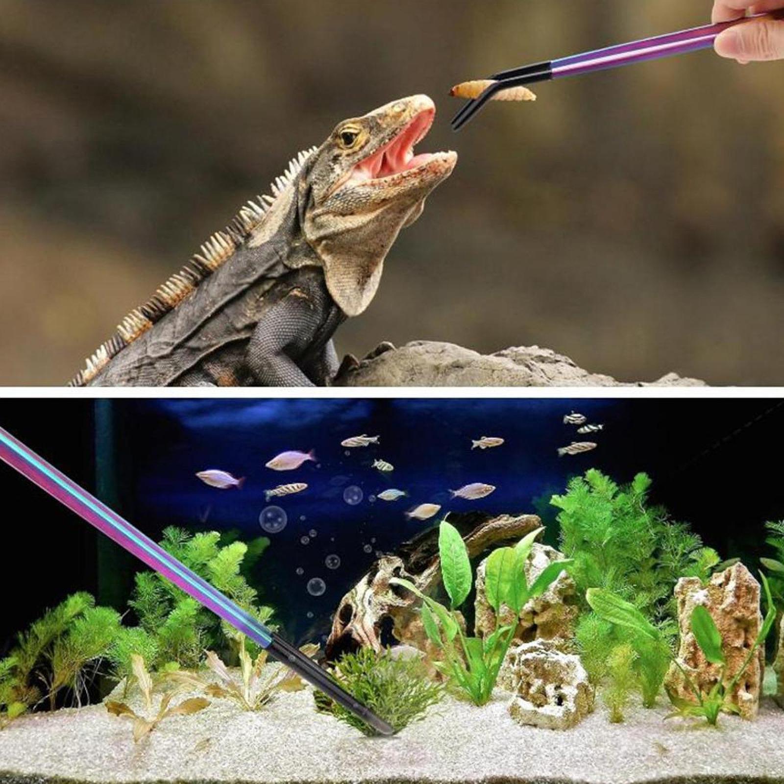 Terrarium Reptile Feeder Tongs – обзор и цена Feeding Tong Stainless