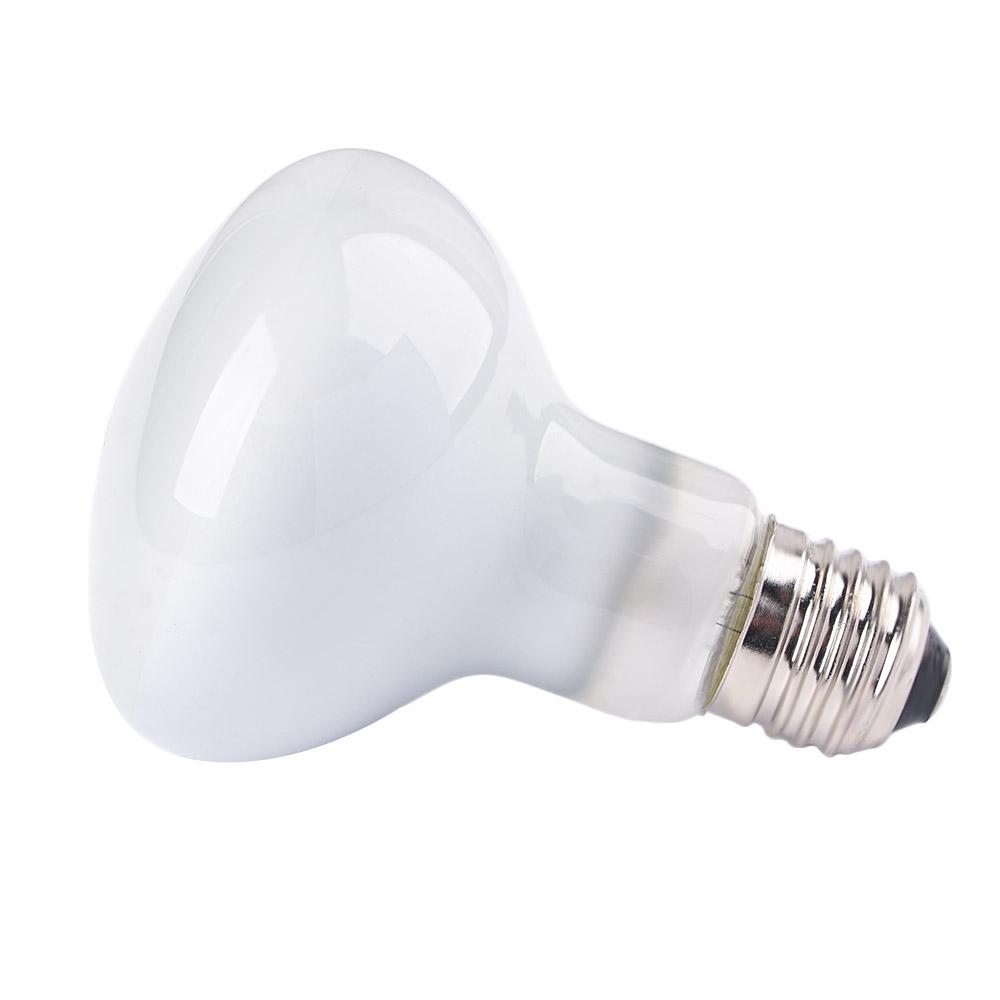 Lizard Temperature Controller  – обзор и цена Basking Bulb Halogen