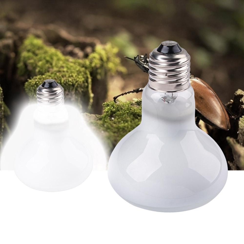 Lizard Temperature Controller  – обзор и цена Basking Bulb Halogen