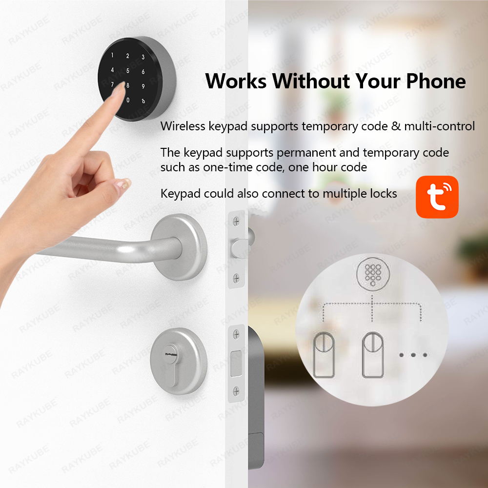 RAYKUBE A1 Pro Tuya BEL Smart  – обзор и цена Glass Door Hinge