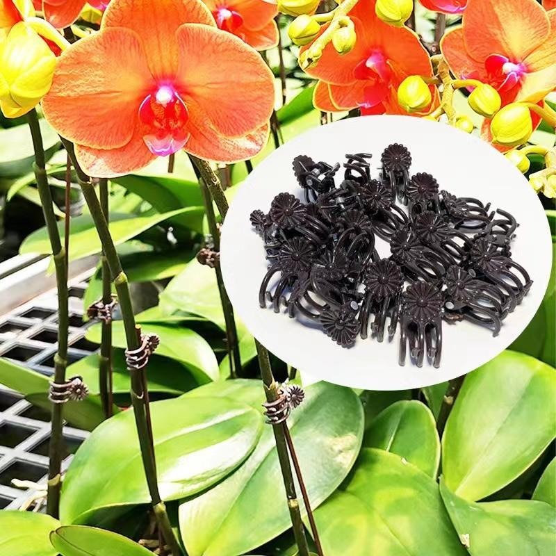 Wholesale Mini Plant Support C – обзор и цена Vine Climbing Plastic