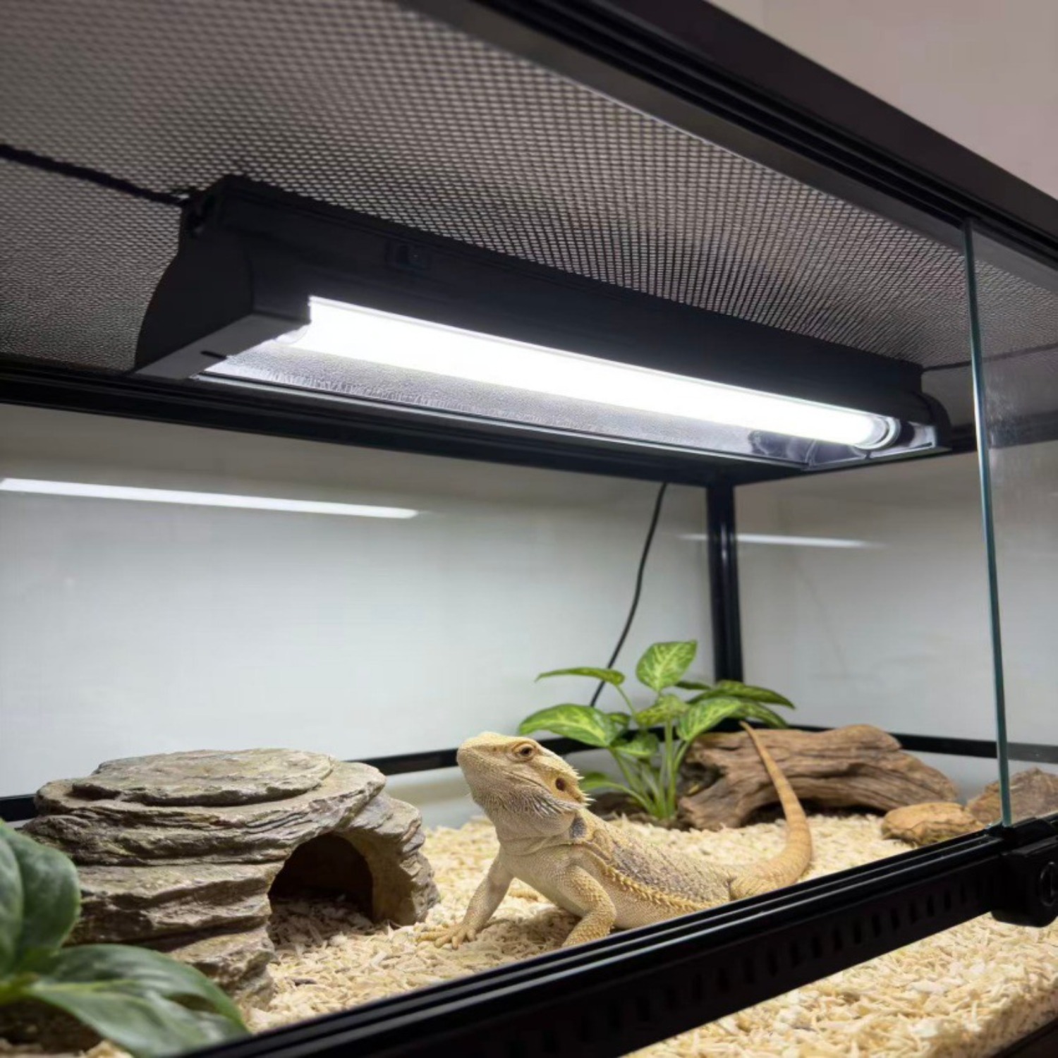T5 UVB Reptile Light Fixture K – обзор и цена Calcium Powder Reptile