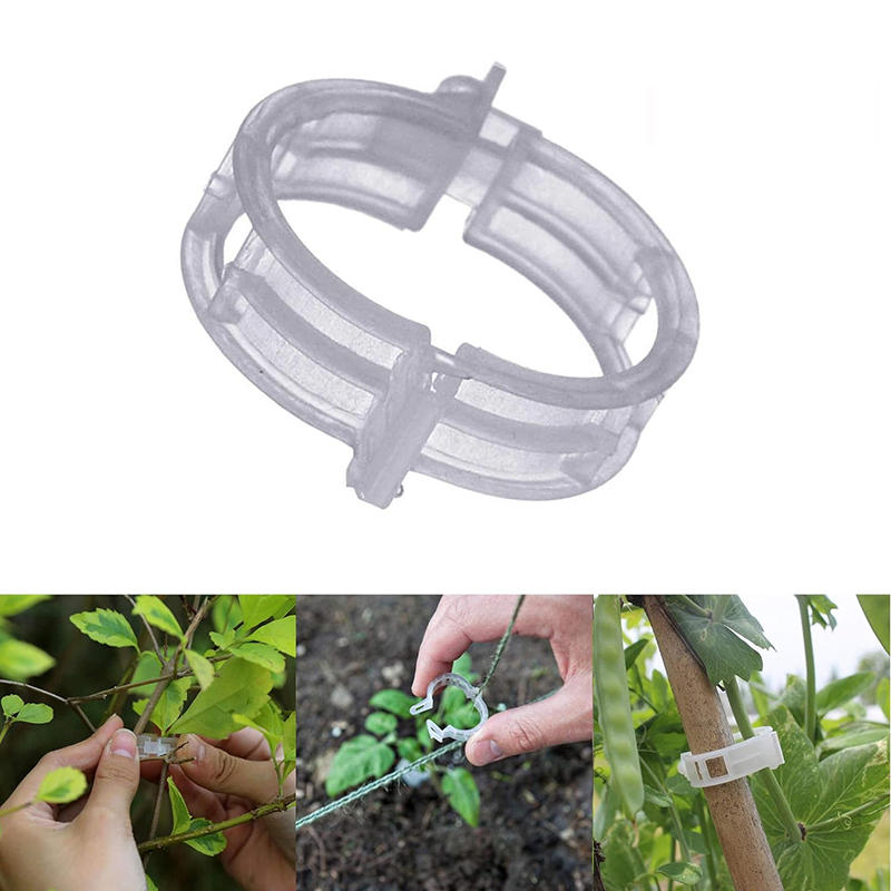 100pcs Clear Plastic Plant Cli – обзор и цена Vine Climbing Plastic