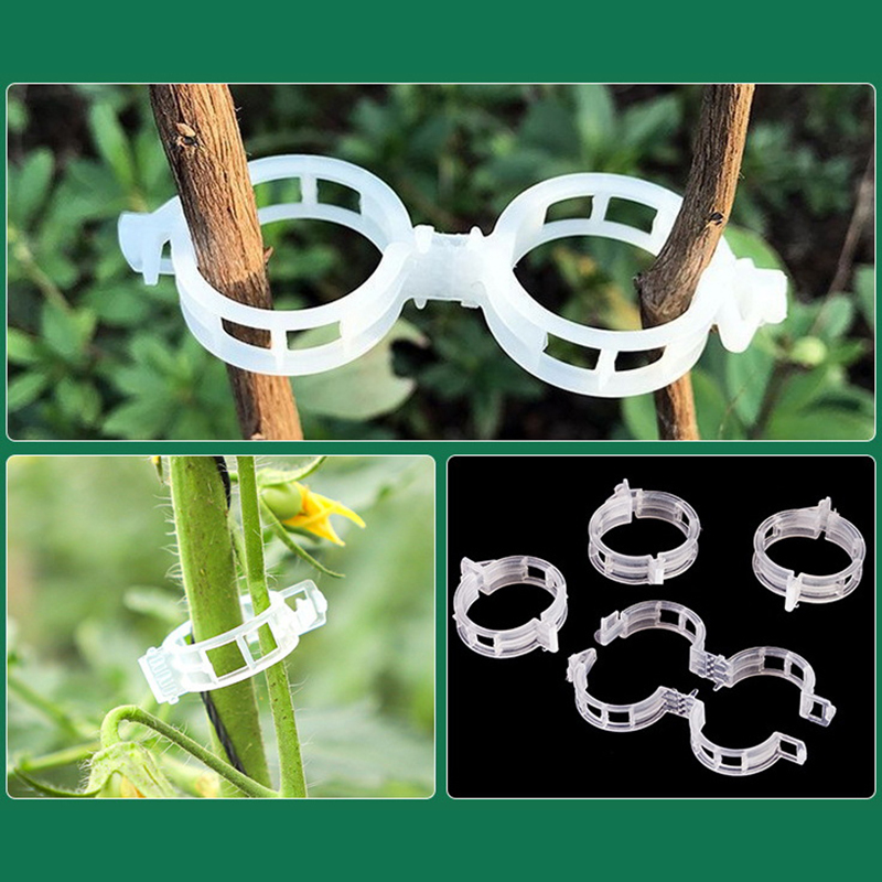 100pcs Clear Plastic Plant Cli – обзор и цена Vine Climbing Plastic