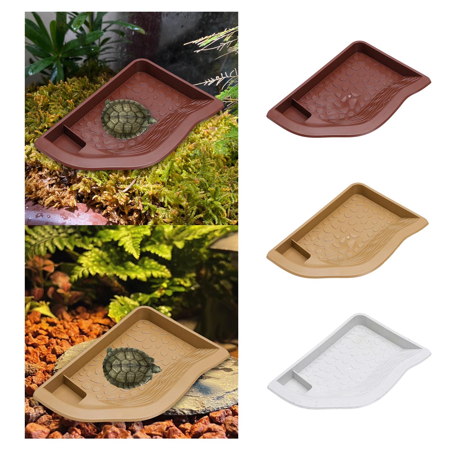 Reptile Pool Water Dish, Torto – обзор и цена Water Dish Reptile