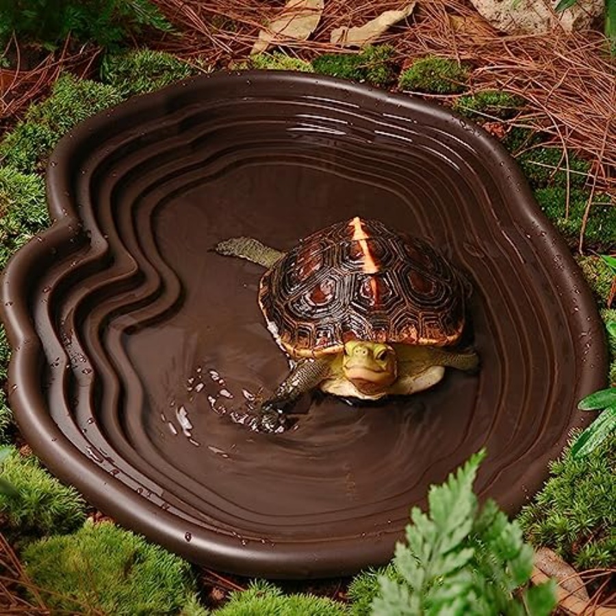 【Spot goods】Extra Large Reptil – обзор и цена Water Dish Reptile