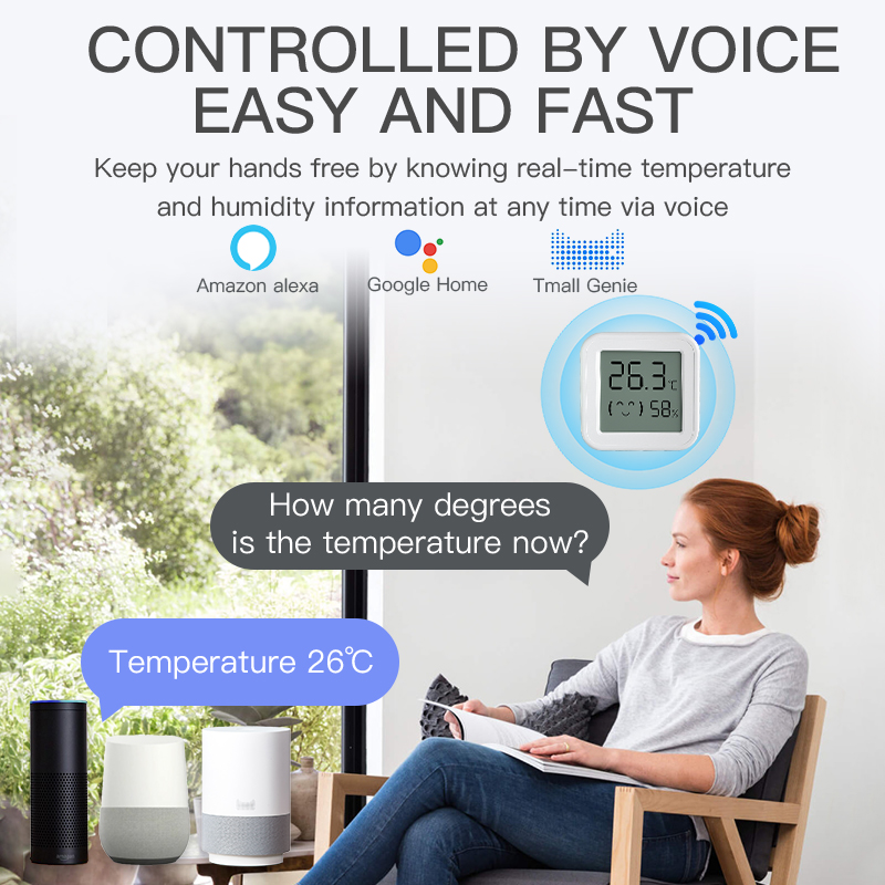 Bluetooth Temperature Humidity – обзор и цена Digital Hygrometer Probe
