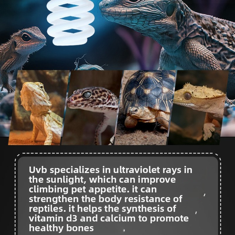 NOMOY 26W UVB Reptile Light Ca – обзор и цена Vitamin D3 Reptile