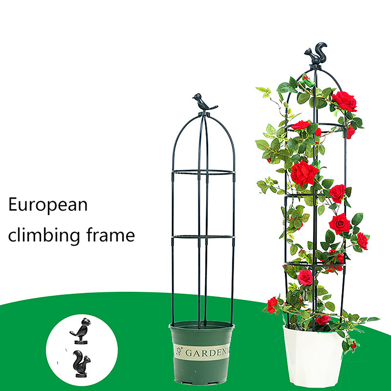 C 1Set Climbing Plant Trellis  – обзор и цена Vine Climbing Plastic