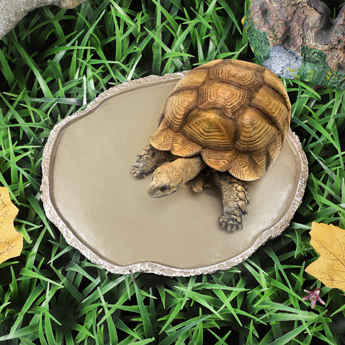 Pets Feeding Plate Reptile Fee – обзор и цена Water Dish Reptile