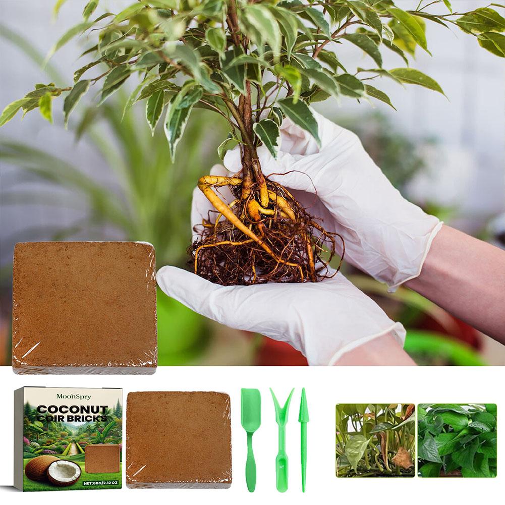 Reptile Coconut Soil Coir Pres – обзор и цена Substrate Coconut Fiber