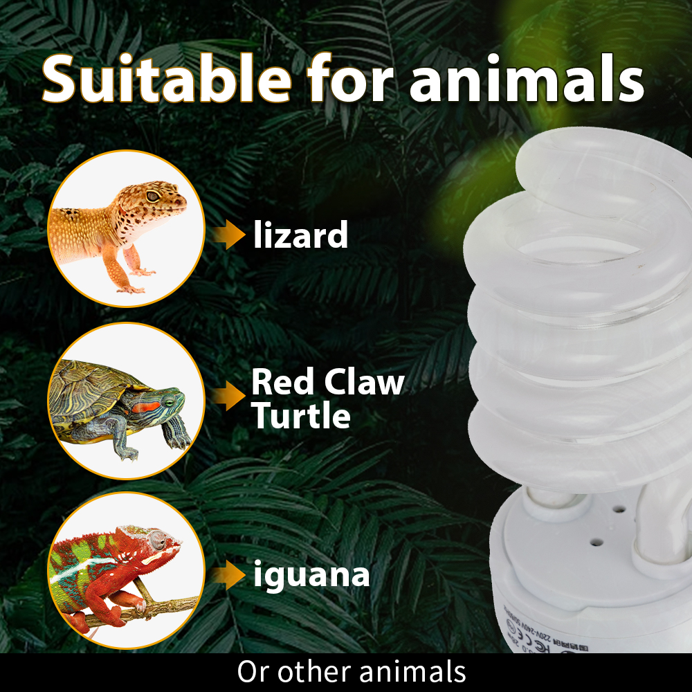 26W Pet Box Lamp Calcium Suppl – обзор и цена Calcium Powder Reptile