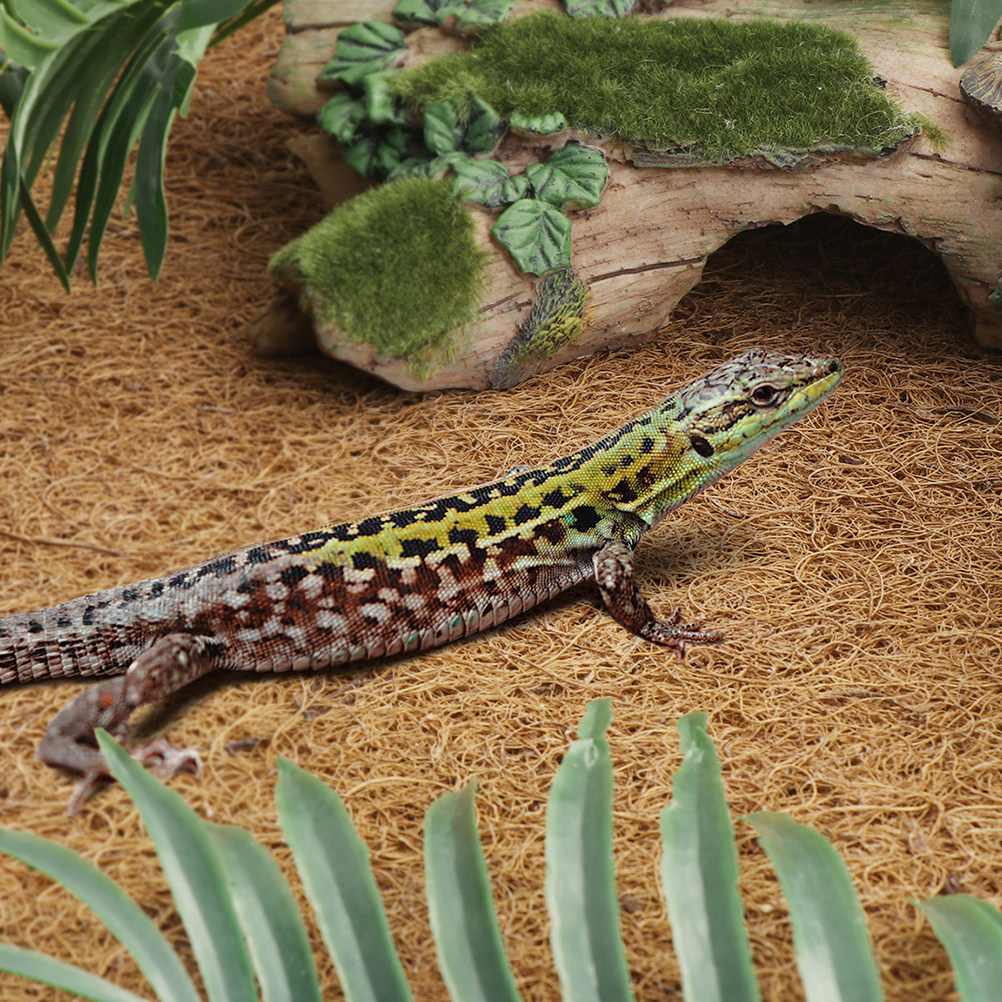 Reptile Terrarium Bedding Subs – обзор и цена Substrate Coconut Fiber