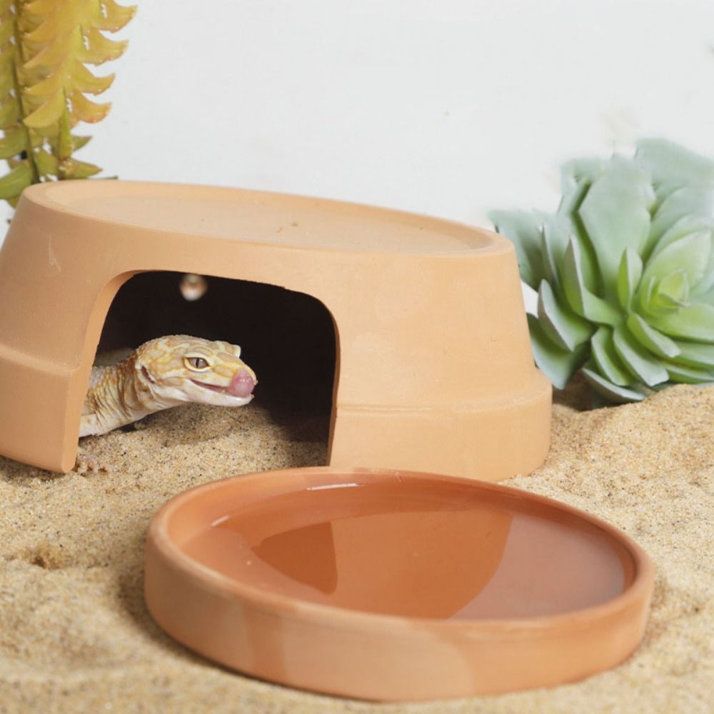Multifunctional Ceramics Repti – обзор и цена Hide Cave Ceramic
