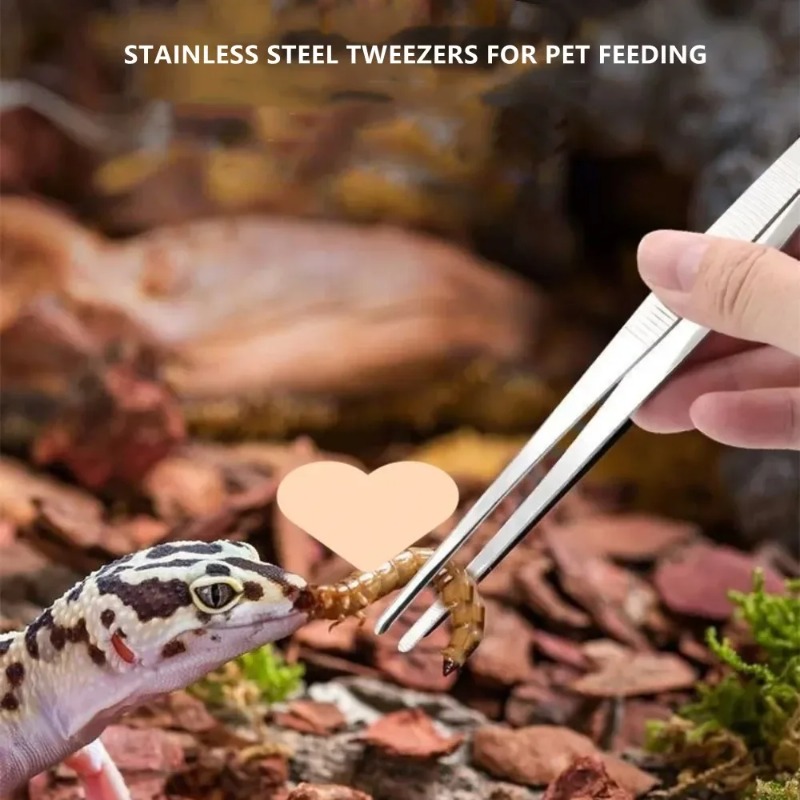 Stainless Multifuctional Steel – обзор и цена Feeding Tong Stainless
