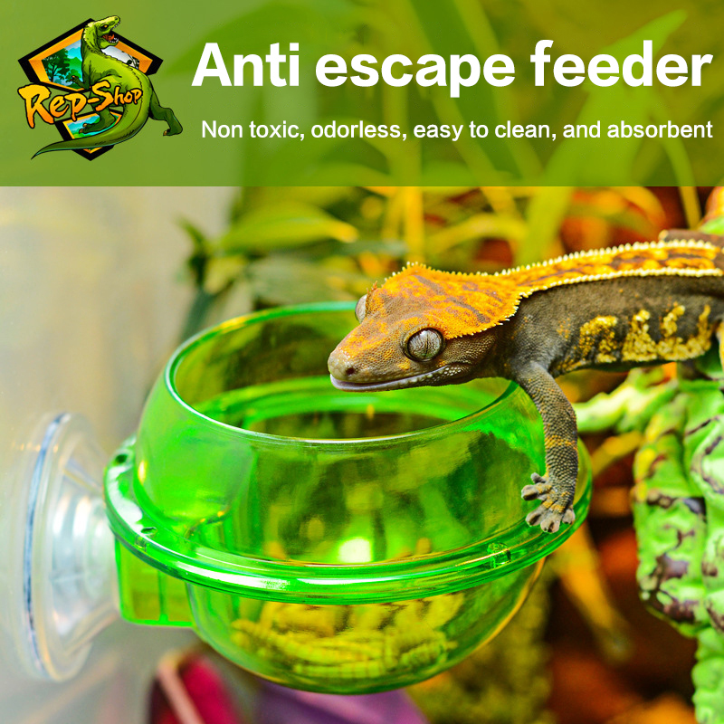HOT! Arboreal Reptile Live Ant – обзор и цена Water Dish Reptile