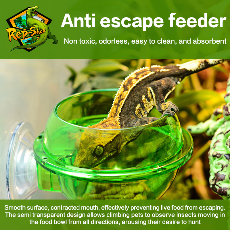 HOT! Arboreal Reptile Live Ant – обзор и цена Water Dish Reptile