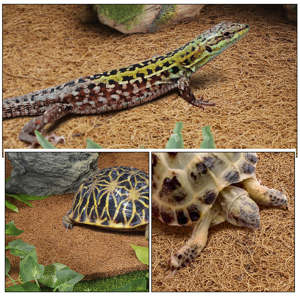 Reptile Carpet Natural Coconut – обзор и цена Substrate Coconut Fiber