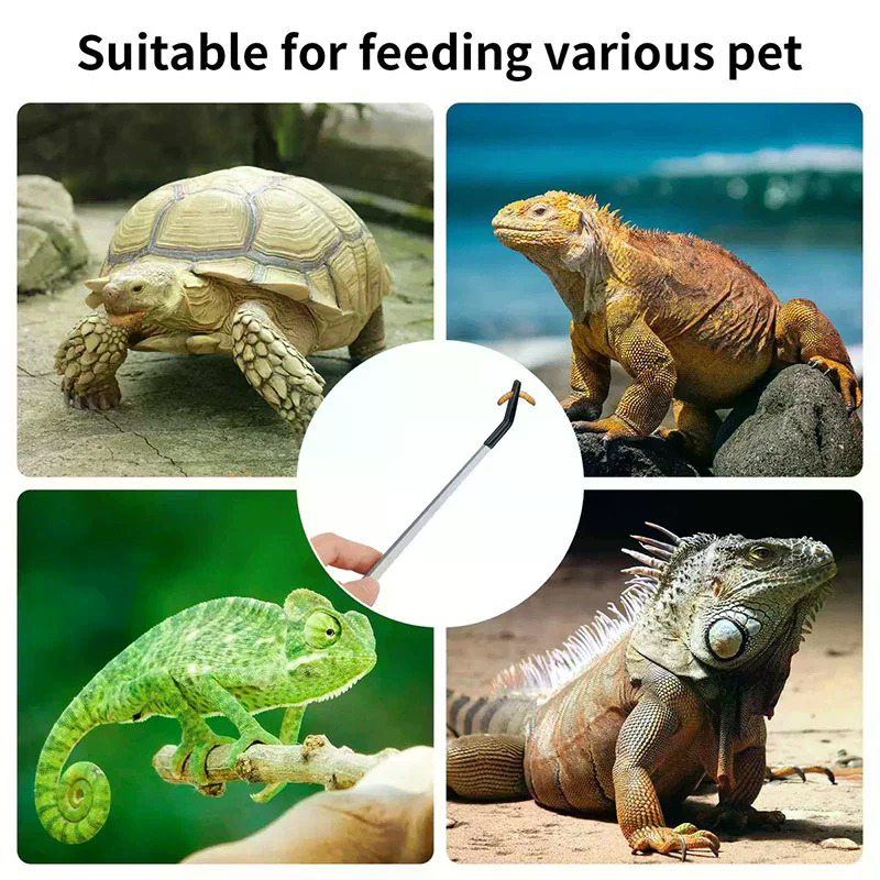 Straight and Curved Aquarium T – обзор и цена Feeding Tong Stainless