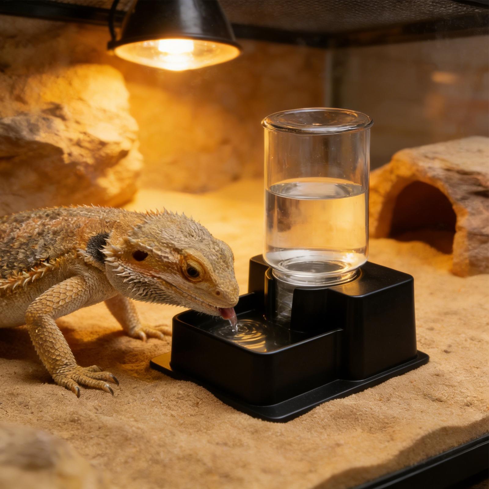 Bearded Dragon Water Fountain  – обзор и цена Water Dish Reptile