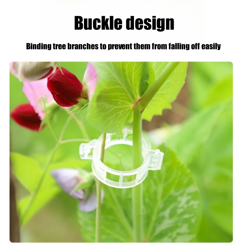 500Pcs Plastic Plant Support C – обзор и цена Vine Climbing Plastic