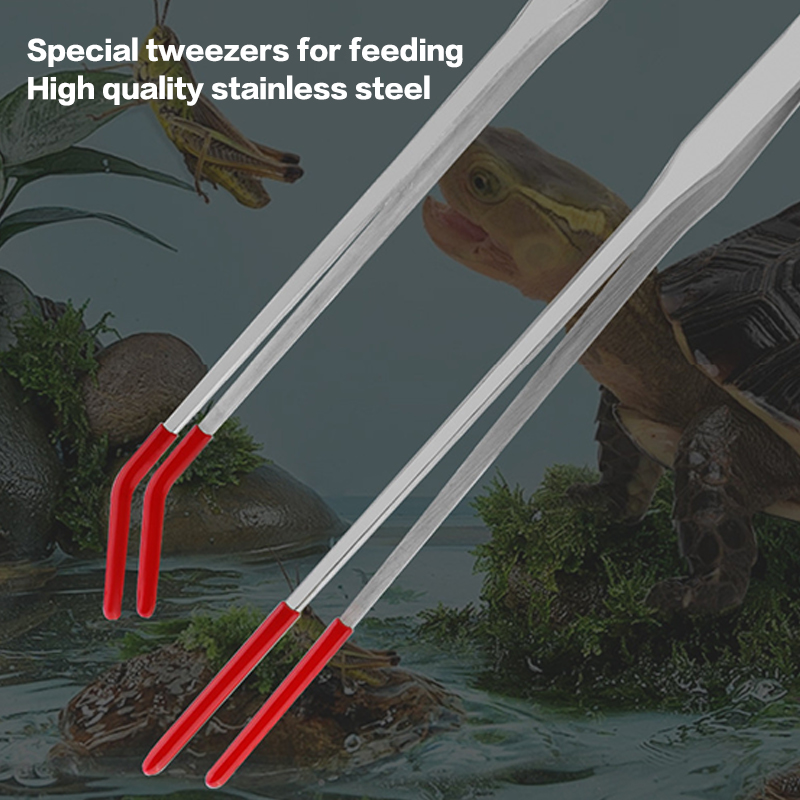 Reptile Feeding Tongs with Rub – обзор и цена Feeding Tong Stainless