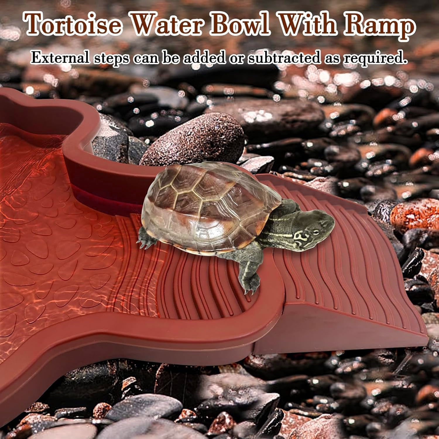 Reptile Bathing Pool with Ramp – обзор и цена Water Dish Reptile