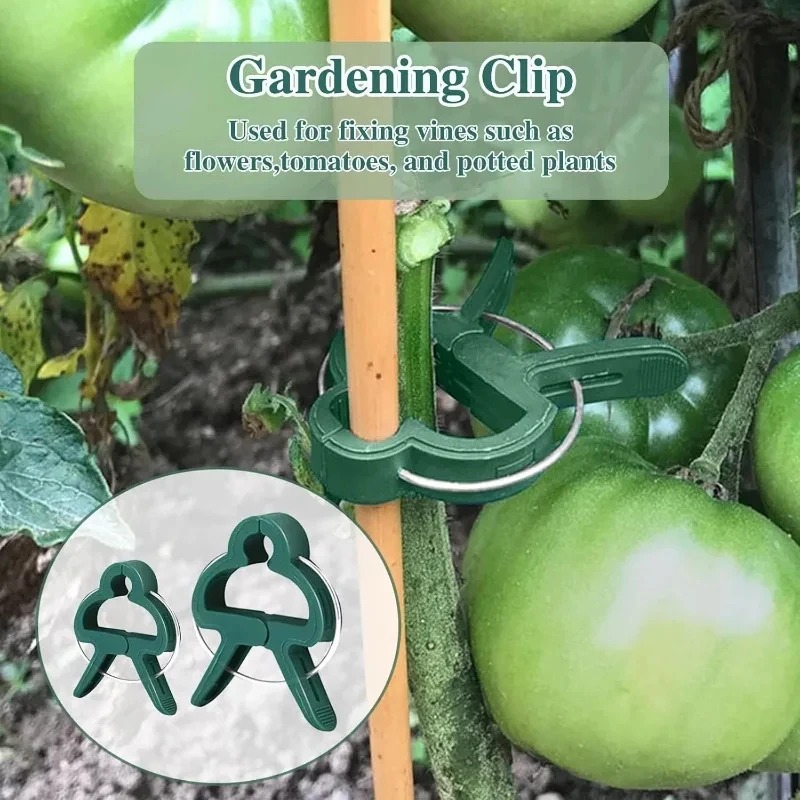 50 Reusable Plant Fixed Clips, – обзор и цена Vine Climbing Plastic