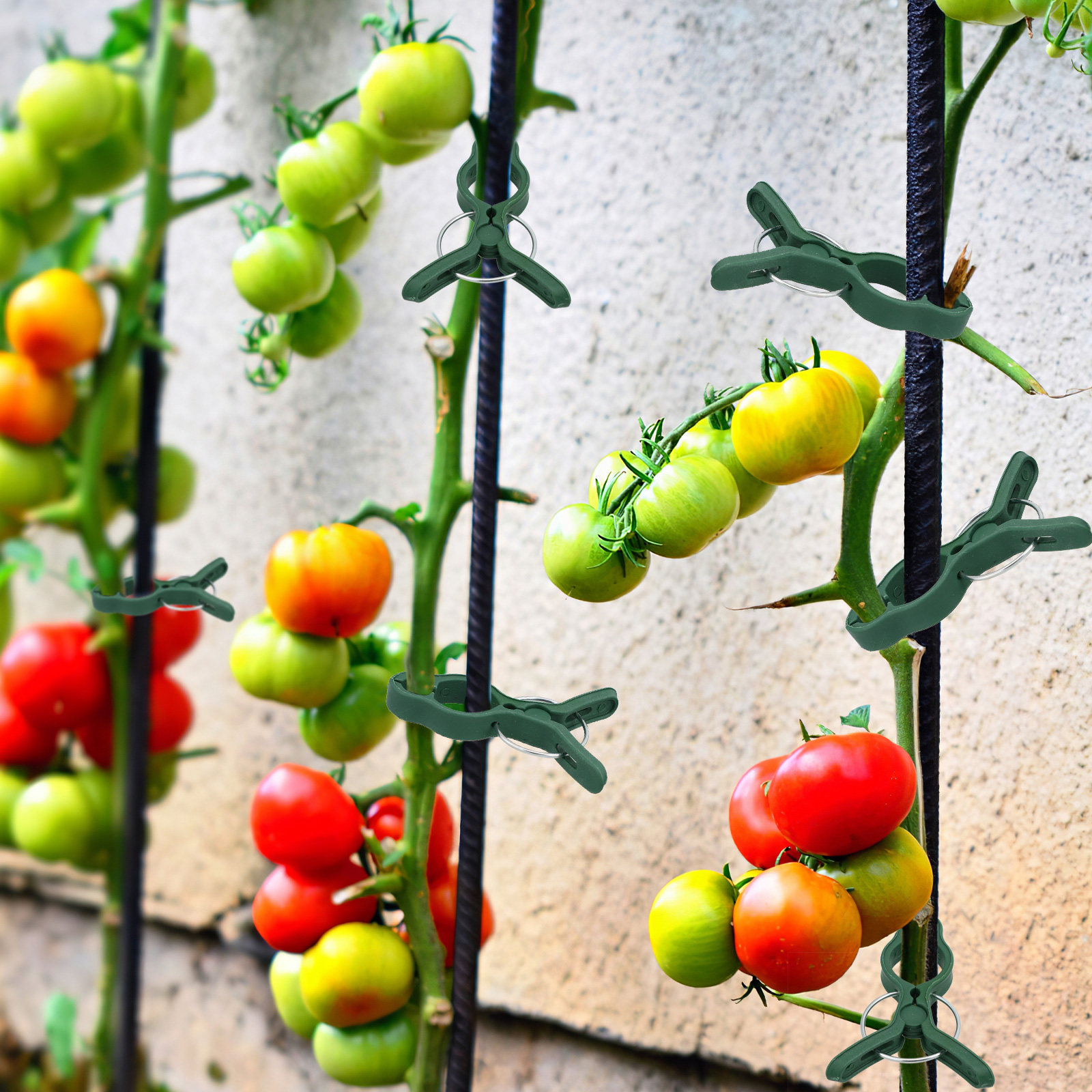 50Pcs Plastic Garden Plant Cli – обзор и цена Vine Climbing Plastic