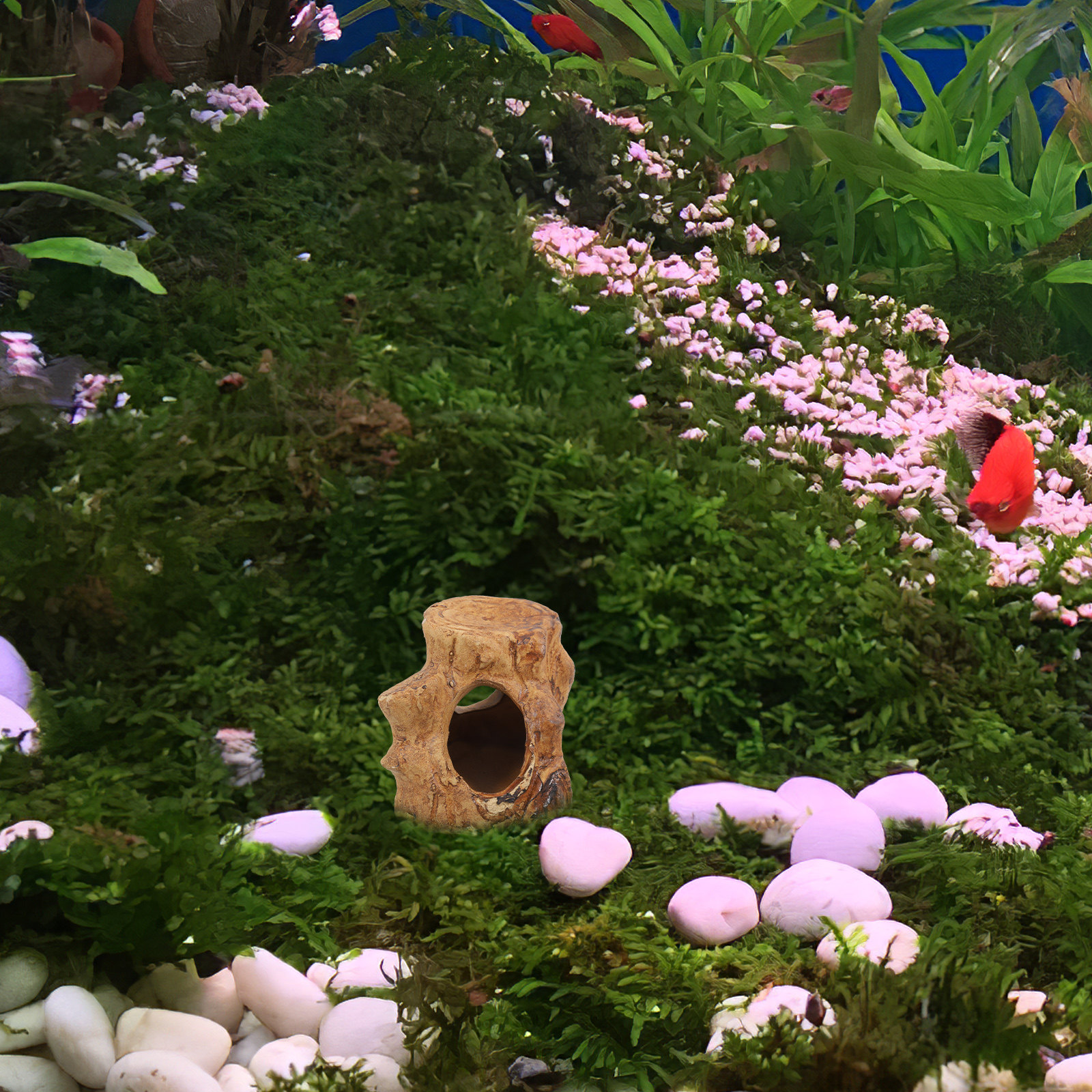 Premium Ceramic Aquarium Hideo – обзор и цена Hide Cave Ceramic