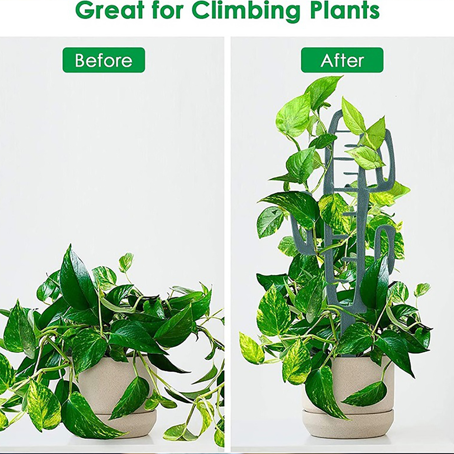 Plant Climbing Support Stand F – обзор и цена Vine Climbing Plastic