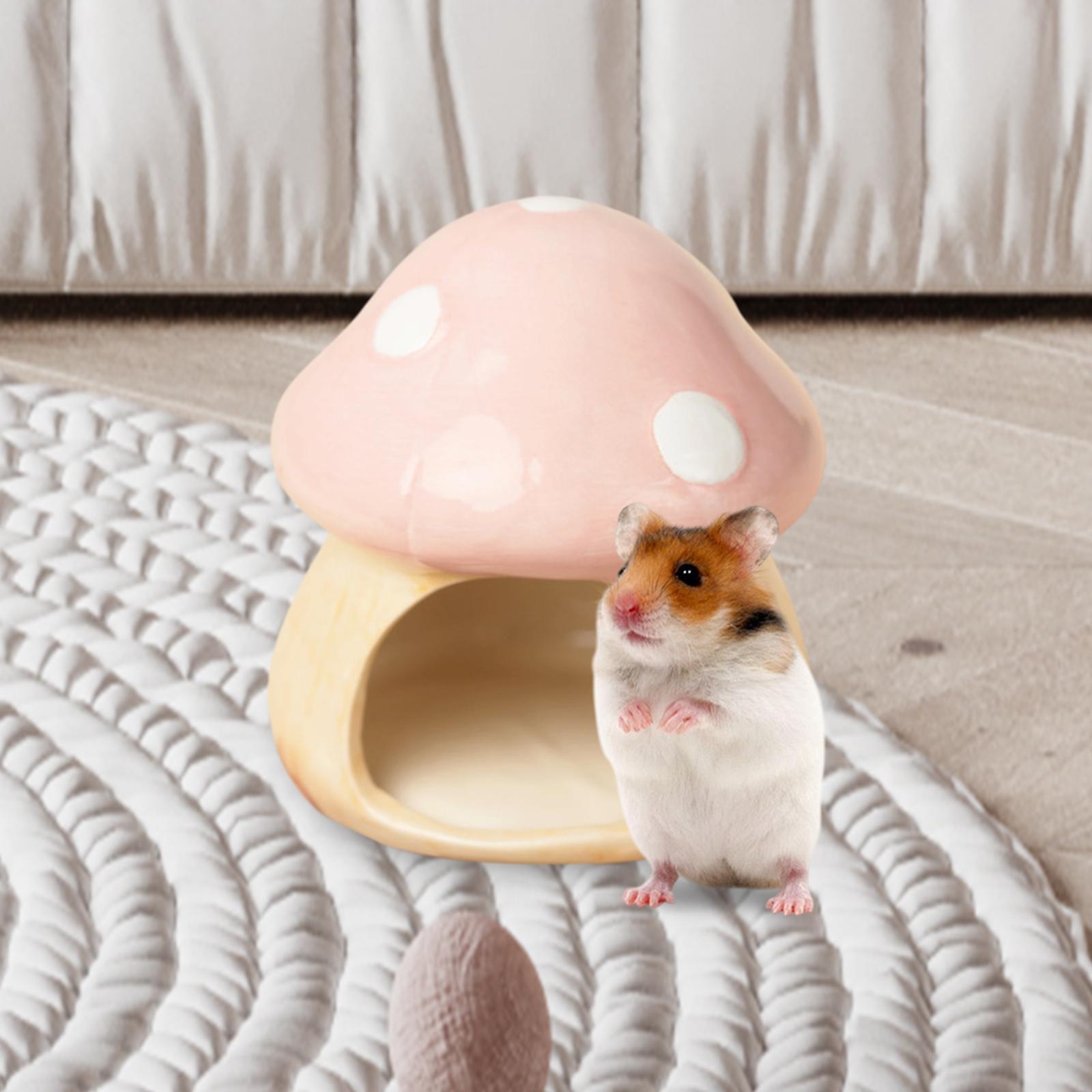 Ceramic Mushroom Hamster Hideo – обзор и цена Hide Cave Ceramic